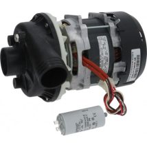 Motor completo para máquina de loiça industrial Colged BETA250, Elettrobar 500543 Motor completo para máquina de loiça industrial Colged BETA250, Elettrobar 500543